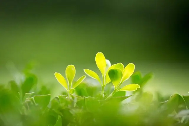 齊齊哈爾好的牡丹江水土保持方案哪家便宜